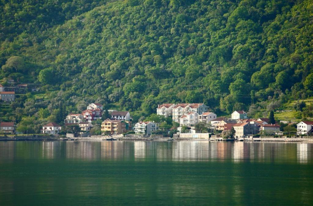 Ana Apartment Котор Экстерьер фото